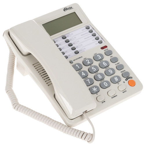 Ritmix RT-495